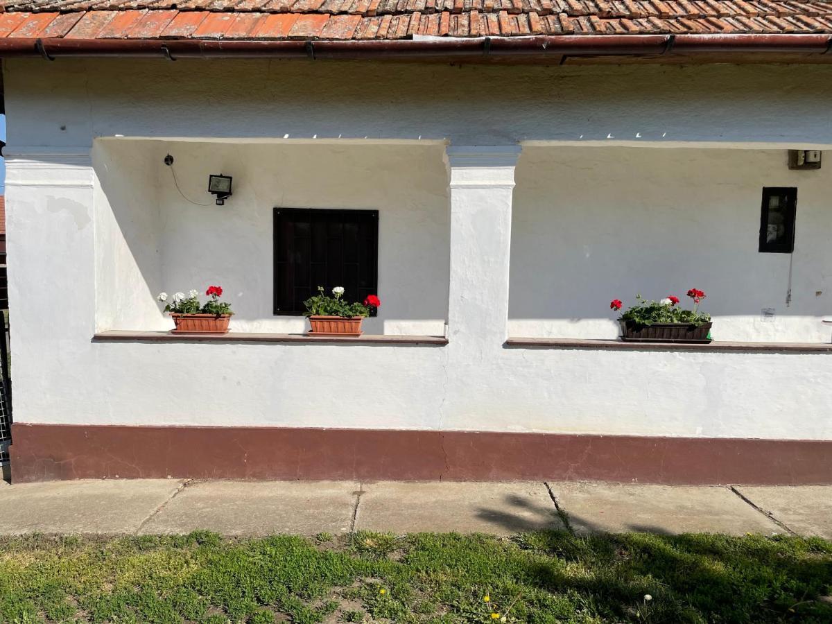 Apartamento Zsuzsa Apartman Poroszló Exterior foto